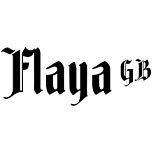 Anm Flaya Logo